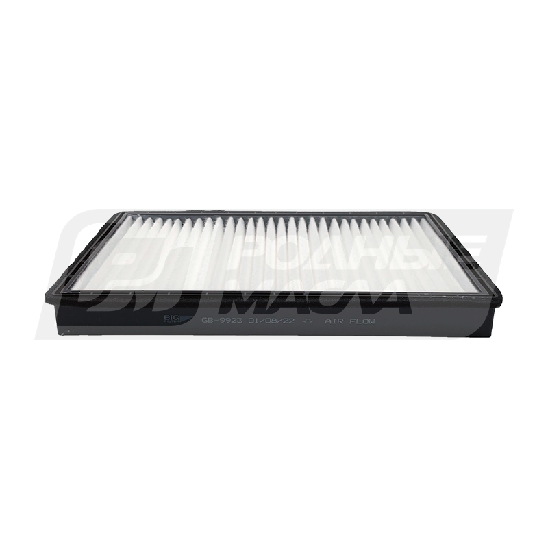 BIG FILTER GB-9923 (GM 22753212/4803883/95599725, Daewoo 96440878) GB9923