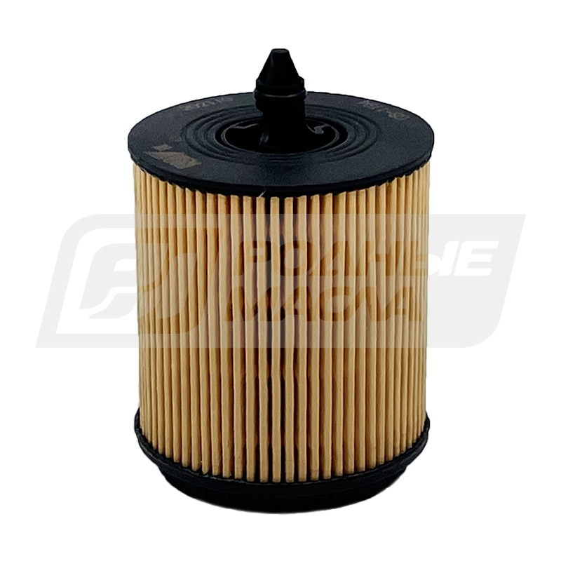 BIG FILTER GB-1194 (HU6007X, OE6483, GM 0650315) GB1194